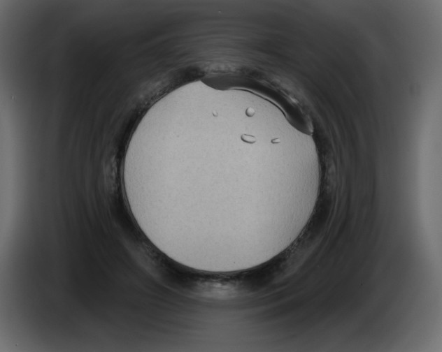 X0000084600498200703231930