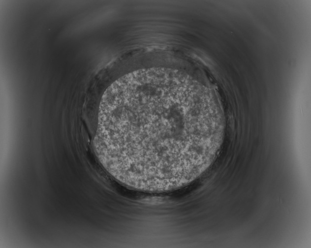 X0000084600499200703231930