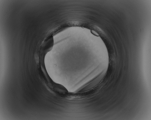 X0000084600500200703231930