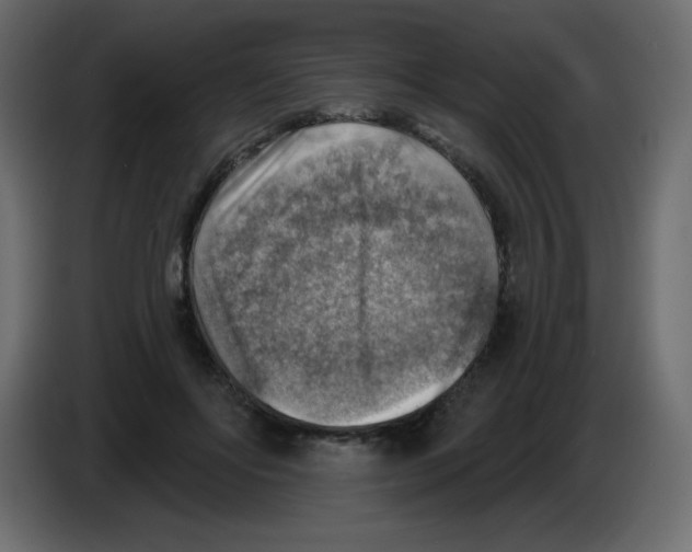 X0000084600502200703231930