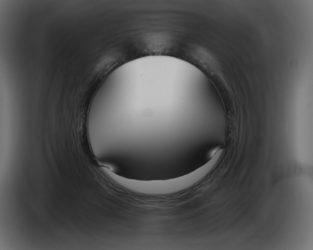 X0000084600505200703231930