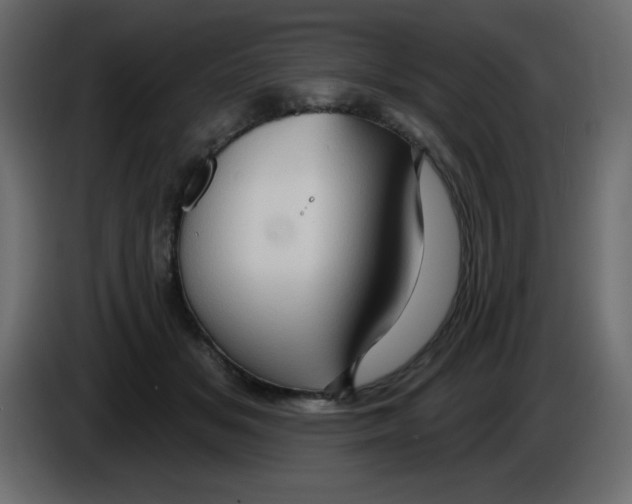 X0000084600509200703231930