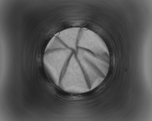 X0000084600510200703231930