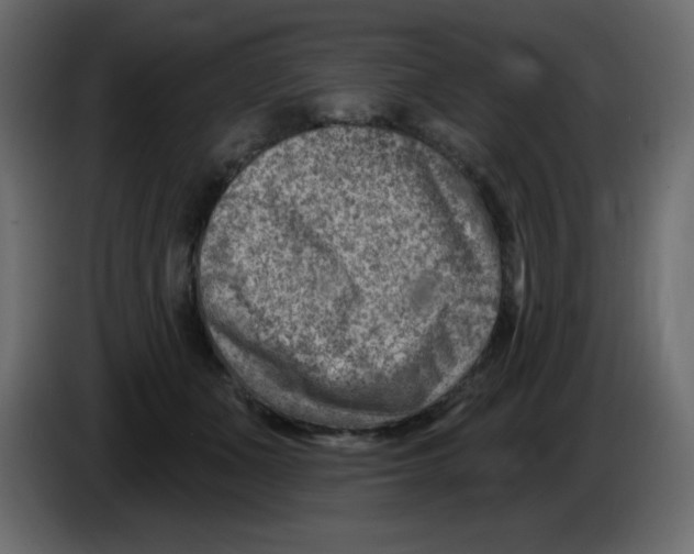 X0000084600511200703231930