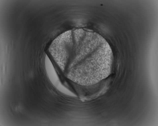 X0000084600512200703231930