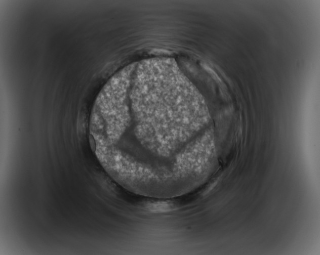 X0000084600513200703231929