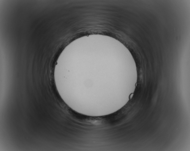 X0000084600514200703231929