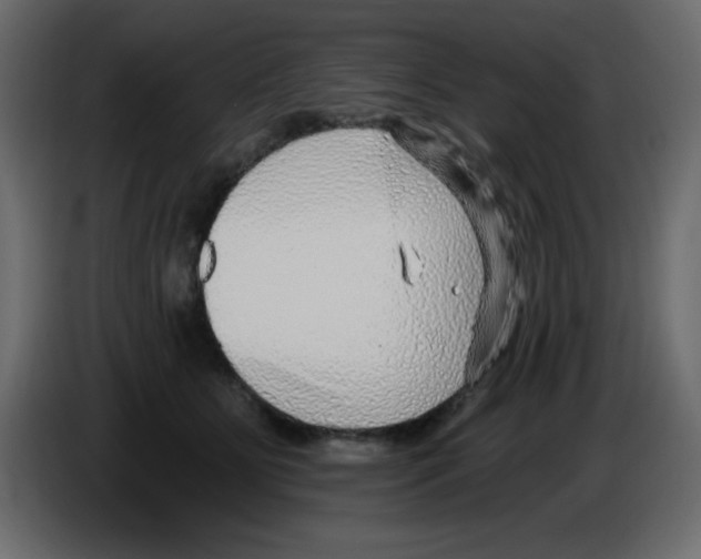 X0000084600515200703231929