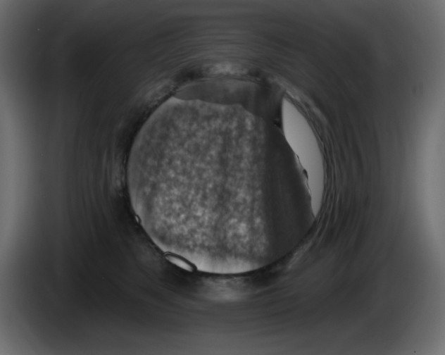 X0000084600517200703231929