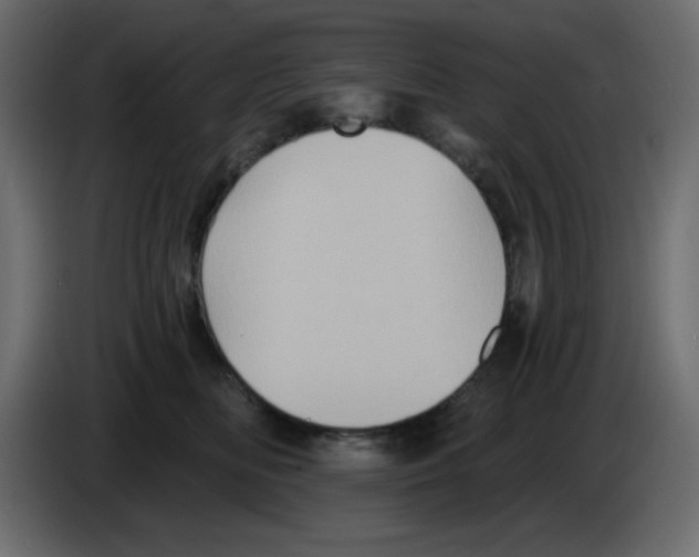 X0000084600518200703231929