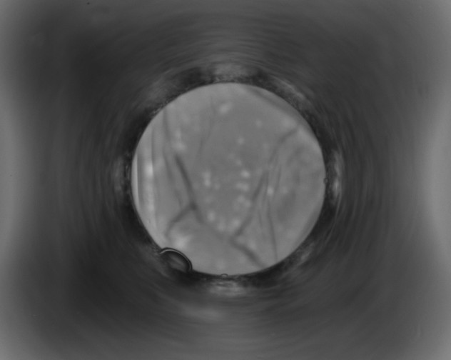 X0000084600519200703231929