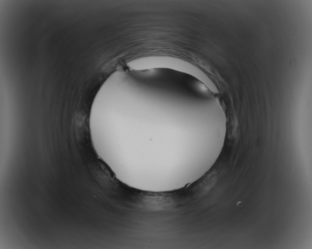 X0000084600521200703231929