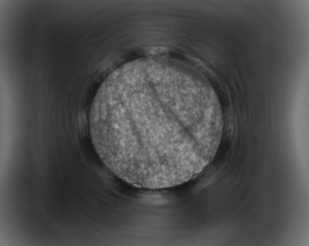 X0000084600523200703231929