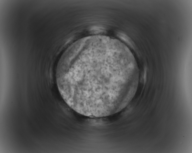 X0000084600524200703231929