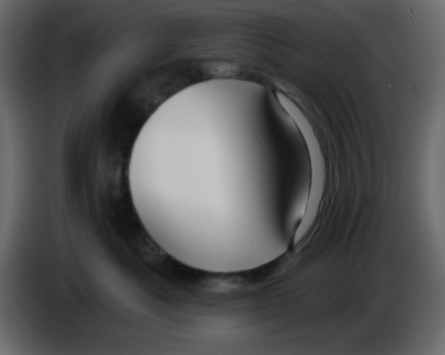 X0000084600525200703231929