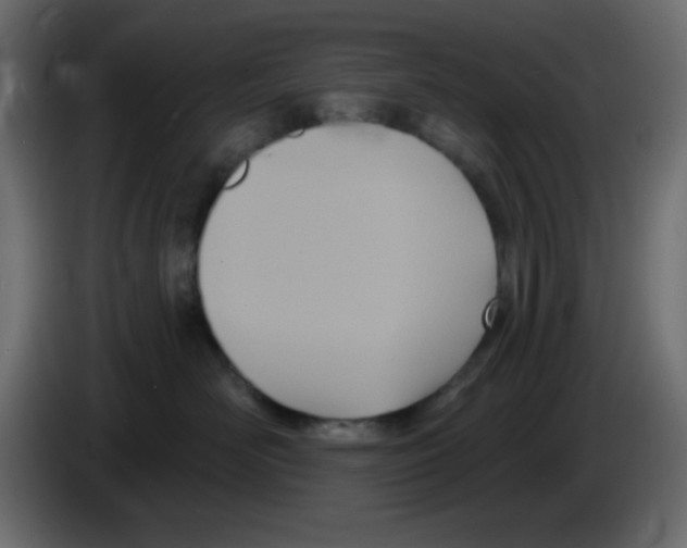 X0000084600526200703231929