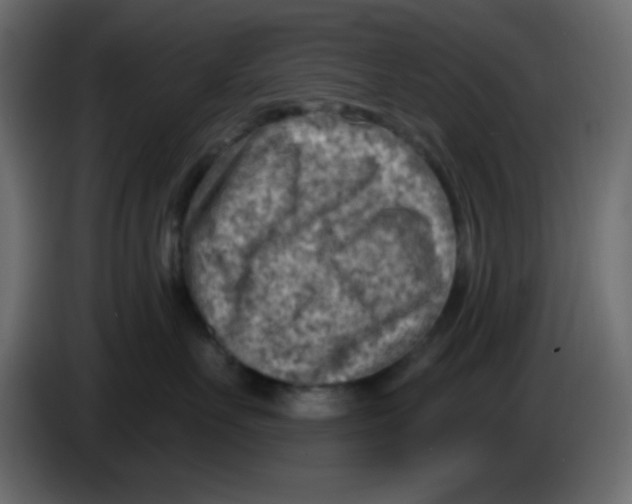 X0000084600527200703231929