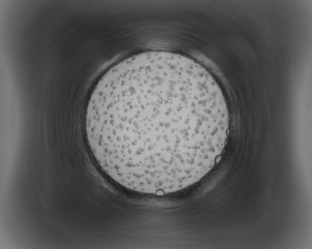 X0000084600529200703231929