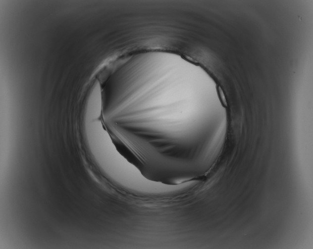 X0000084600530200703231929