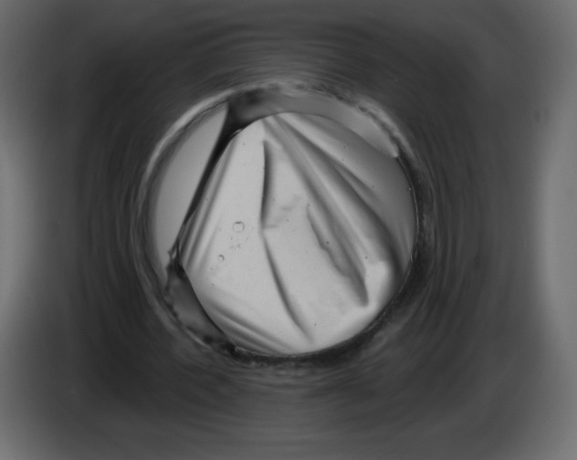 X0000084600532200703231929