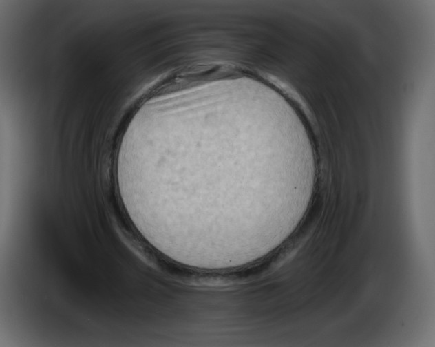 X0000084600533200703231929