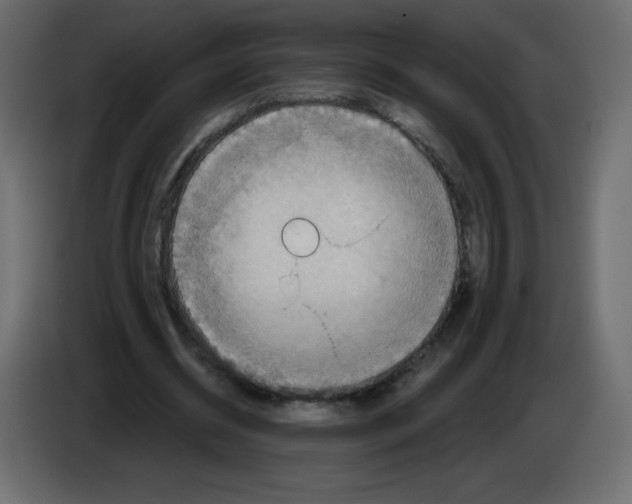 X0000084600534200703231929