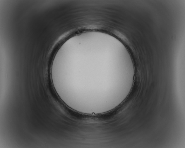 X0000084600535200703231929