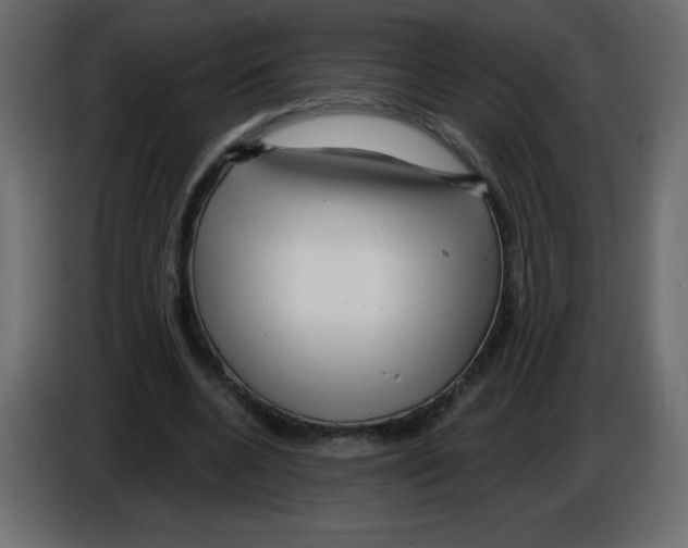 X0000084600536200703231929