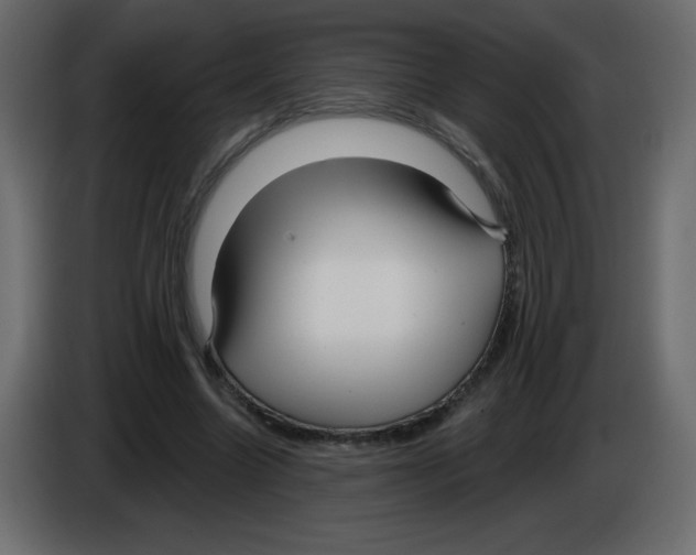 X0000084600538200703231929