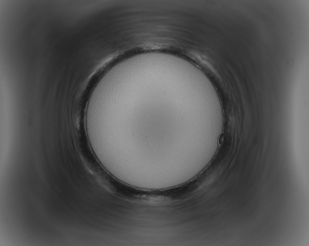 X0000084600539200703231929