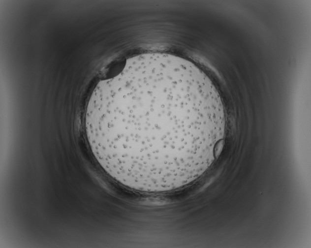 X0000084600541200703231929