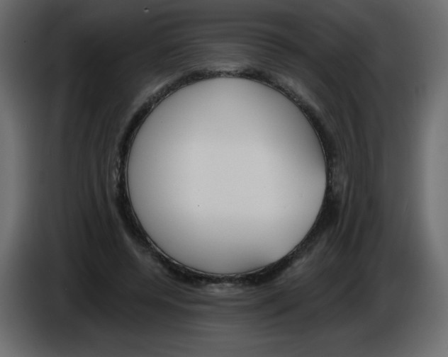 X0000084600544200703231929