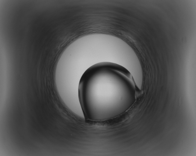 X0000084600546200703231929