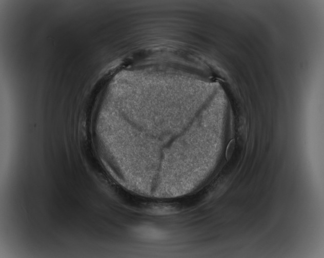 X0000084600547200703231929