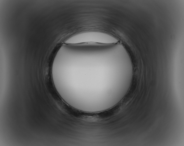 X0000084600548200703231929