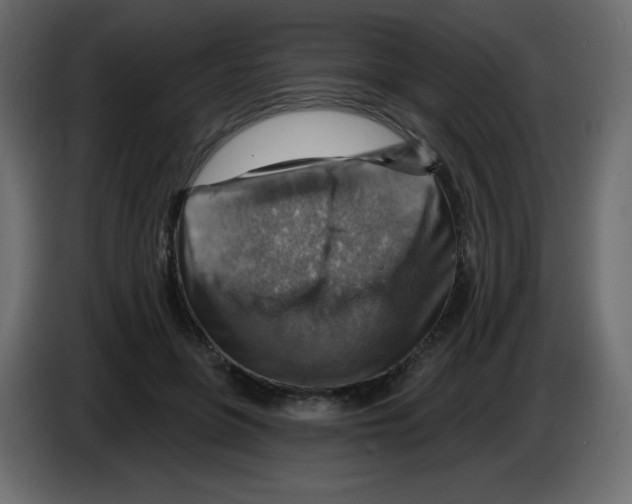 X0000084600551200703231929