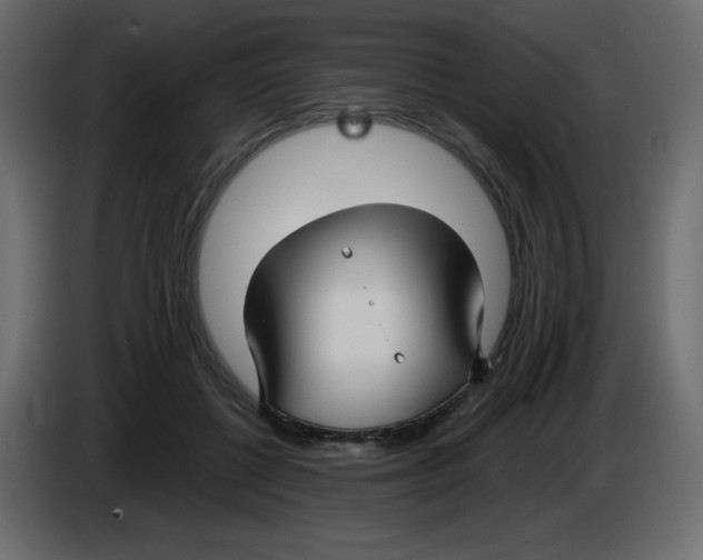 X0000084600552200703231929