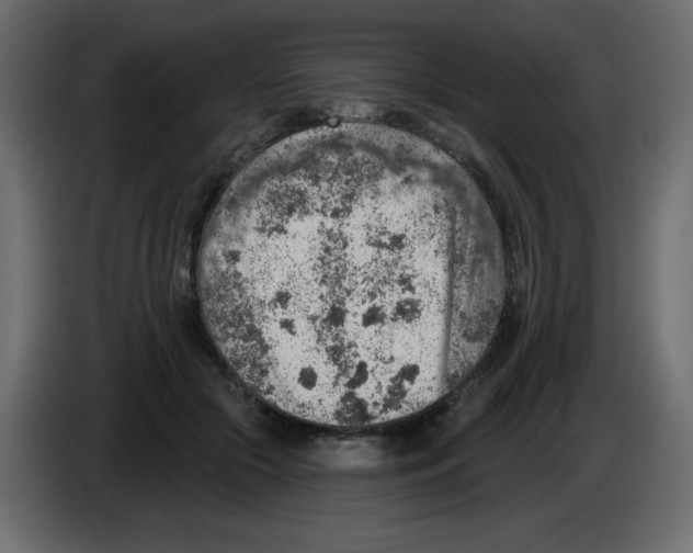 X0000084600553200703231929