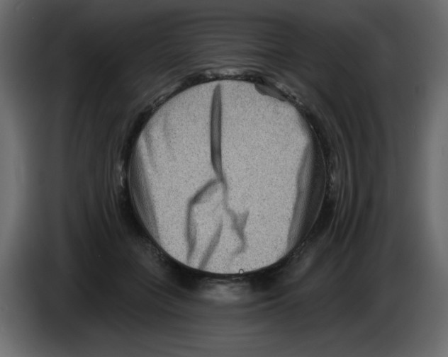 X0000084600555200703231929