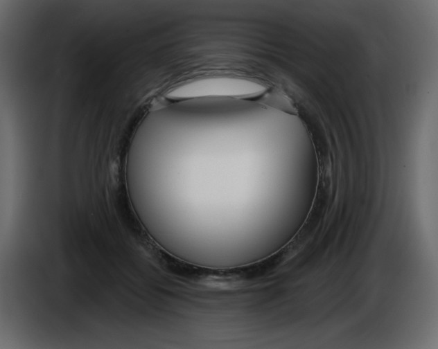 X0000084600556200703231929