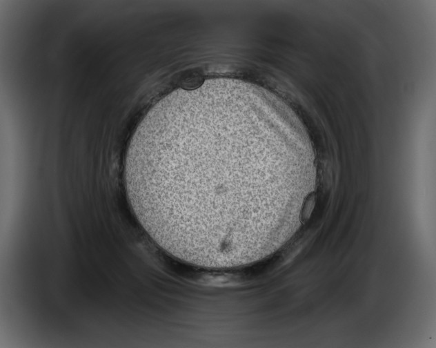 X0000084600557200703231929