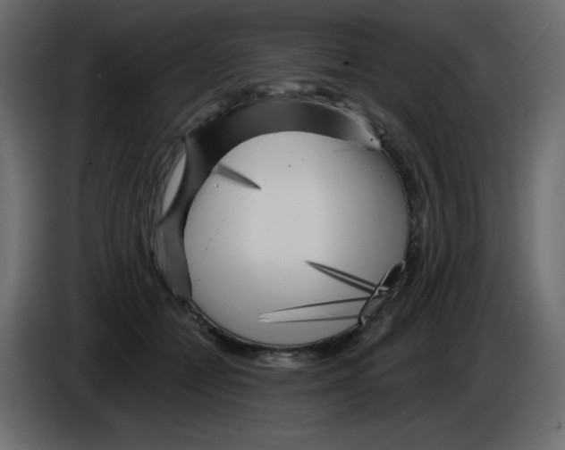 X0000084600558200703231929