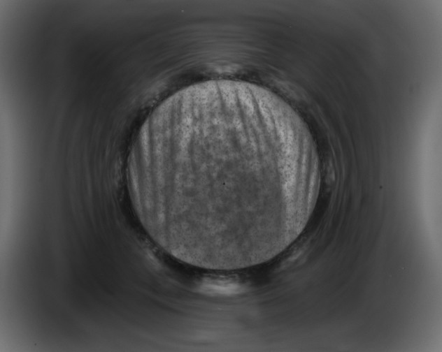 X0000084600559200703231929