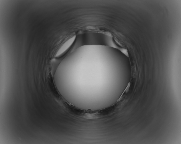 X0000084600560200703231929