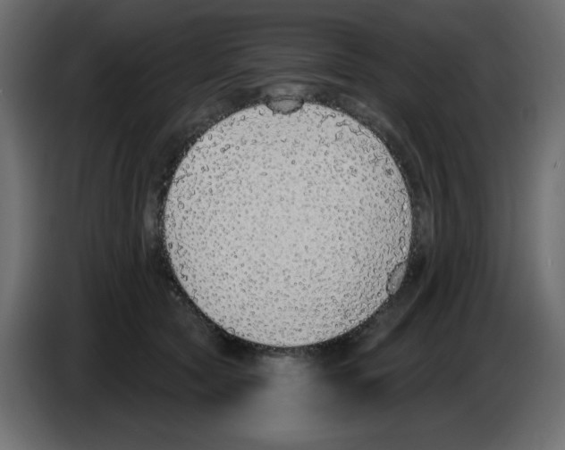 X0000084600561200703231929