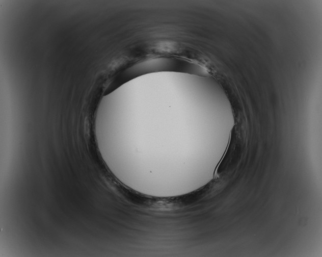 X0000084600562200703231929