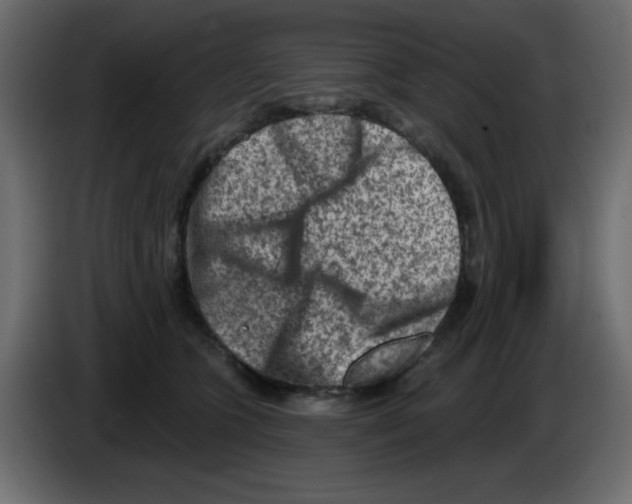 X0000084600563200703231929