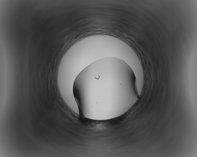 X0000084600564200703231929