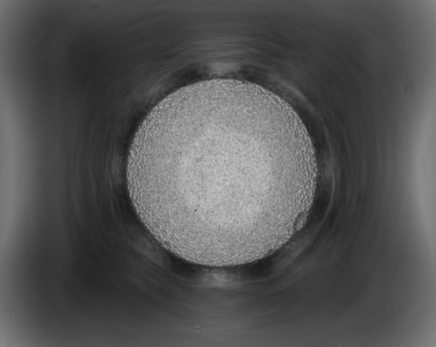 X0000084600565200703231929