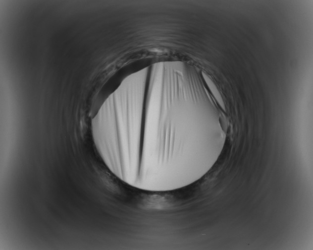 X0000084600566200703231929